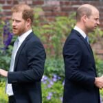 Photos show how Prince Harry and Prince William's relationship has changed through the years