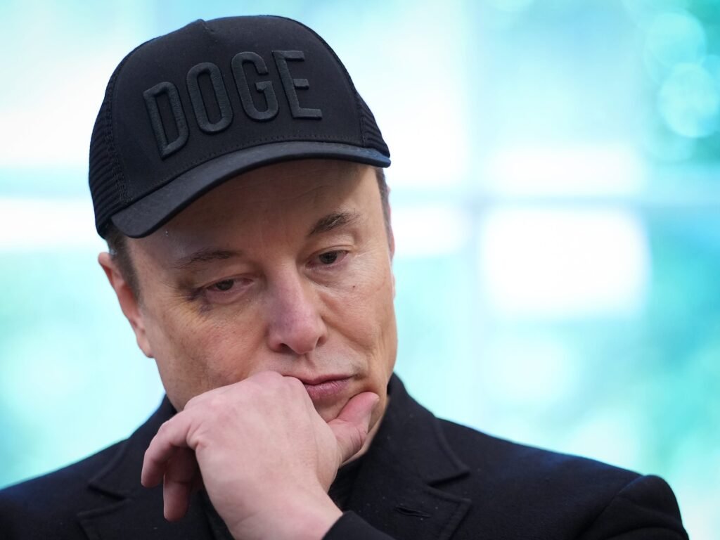 Judge says Elon Musk engaged in 'little more than state sanctioned intimidation' when he accused a DHS official of a crime