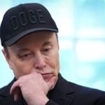 Judge says Elon Musk engaged in 'little more than state sanctioned intimidation' when he accused a DHS official of a crime