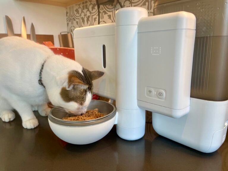 Neakasa Riko Fresh-Made Wet Meal Feeder Review 2026: Our Expert’s Opinion