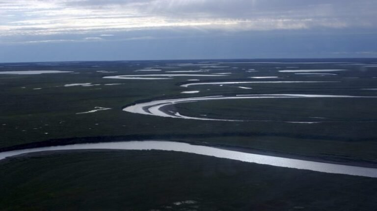 Trump exempts oil exploration in Arctic petroleum reserve from environmental reviews