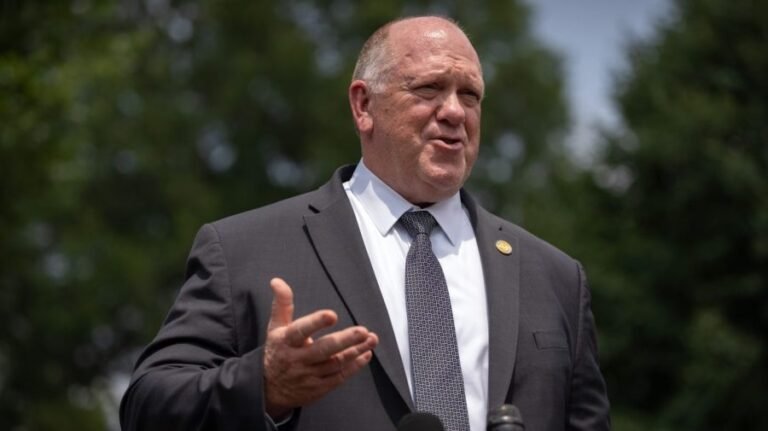 Homan says investigators have a 'strong case' against Omar