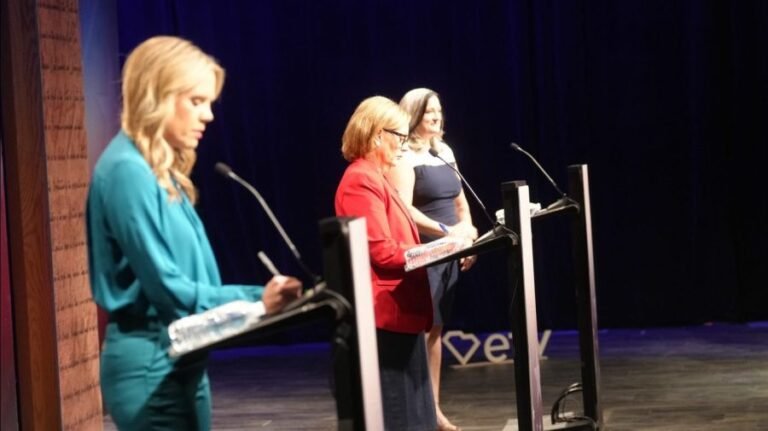 Lone debate for South Carolina Senate gets testy: 5 takeaways