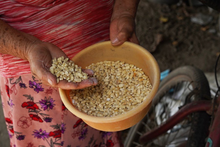 A dangerous El Niño could turn hunger into famine 
