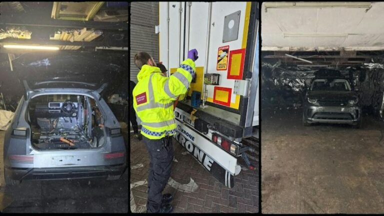 Mass police 'chop shop' raids shine light on car theft and cloning scourge