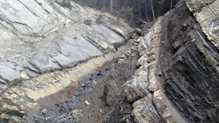 Biosignatures Extend Robustly into the Top Kilometer of Sedimentary Basins