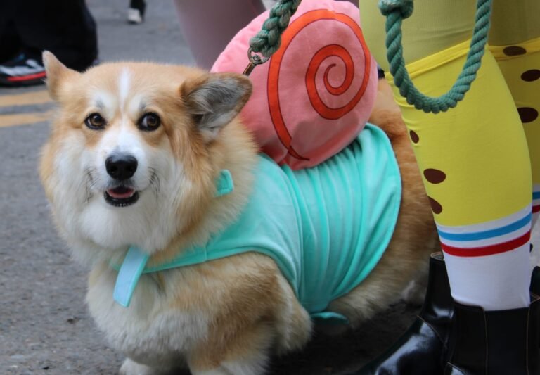 Let’s Give a Round of A-Paws to These Tompkins Dog Parade Participants