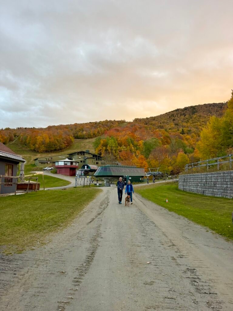 Country People by Daniel Mason: A Love Letter to Vermont, Quirks and All