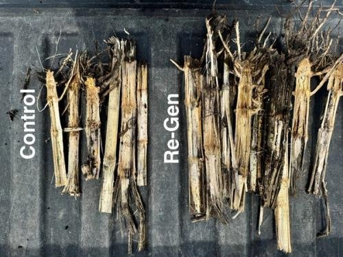 IMIO raises $12m to unlock nutrients trapped in crop residues with new generation of ‘dependable ag biologicals’