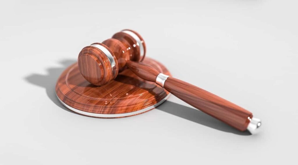 Japanese Court Rules Human Voice Is Protected by Law in Landmark AI Case