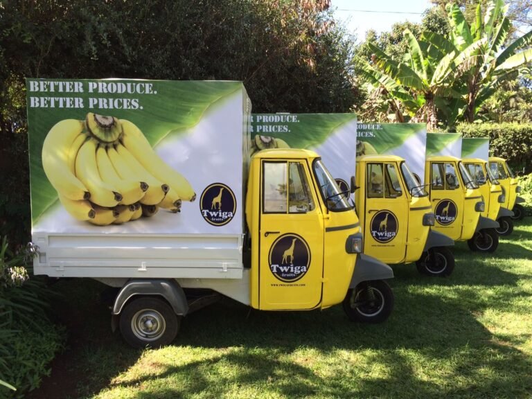Twiga’s demise underscores the need for new financing models in African agrifoodtech