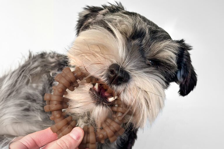 Looking For A More Satisfying Chew? Inside Nylabone's New Chew Toy Collection Made with Real Meat