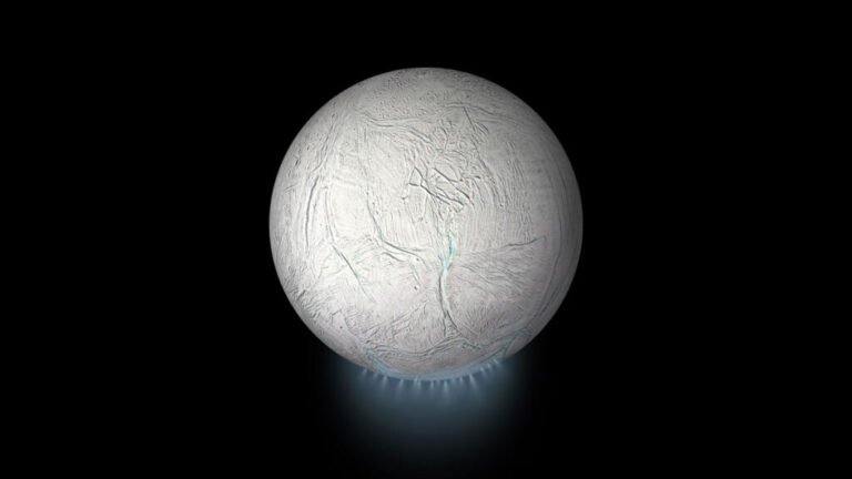 Archaea Survived Enceladus-Like Conditions in Lab
