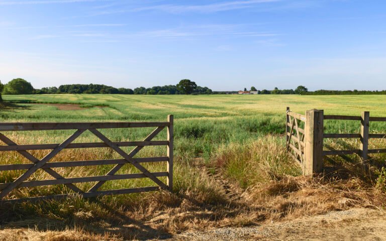 Guest article: Executive impersonation threats are everywhere in agriculture. This is how to respond