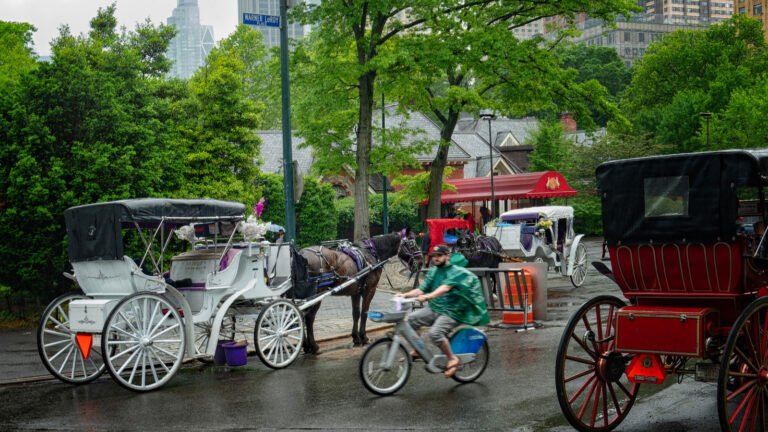 New York City Will Ban Carriage Horses From Central Park