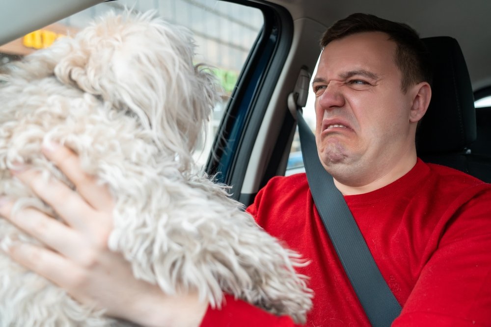 What’s That Smell??? How To Tell the Difference Between Normal Stinky Dog Breath and A Warning Sign