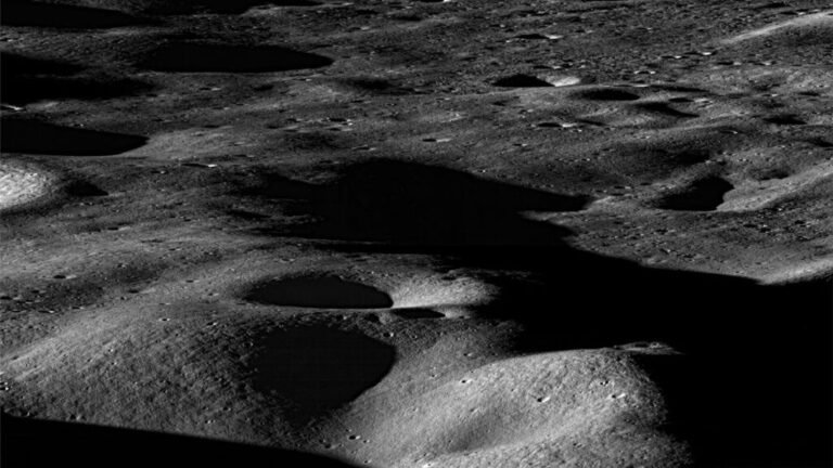 Was the Moon-Forming Impact Squishy or Crunchy?