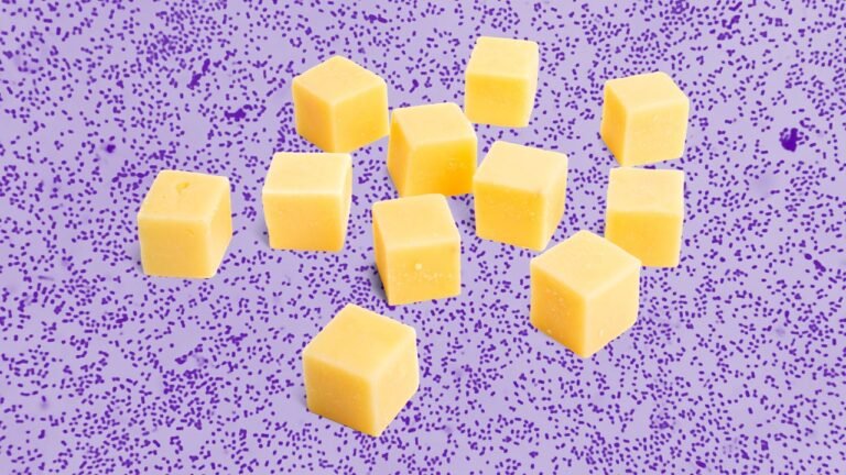 Cheese recalled nationwide after 8 people hospitalized from E. coli outbreak: Full list of products to avoid