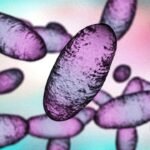 Russia ‘pneumonic plague’: What we know about the quarantine in Siberia after a researcher’s death