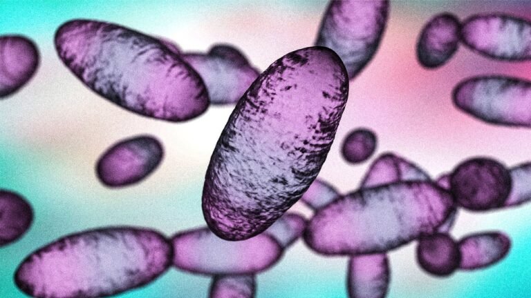 Russia ‘pneumonic plague’: What we know about the quarantine in Siberia after a researcher’s death