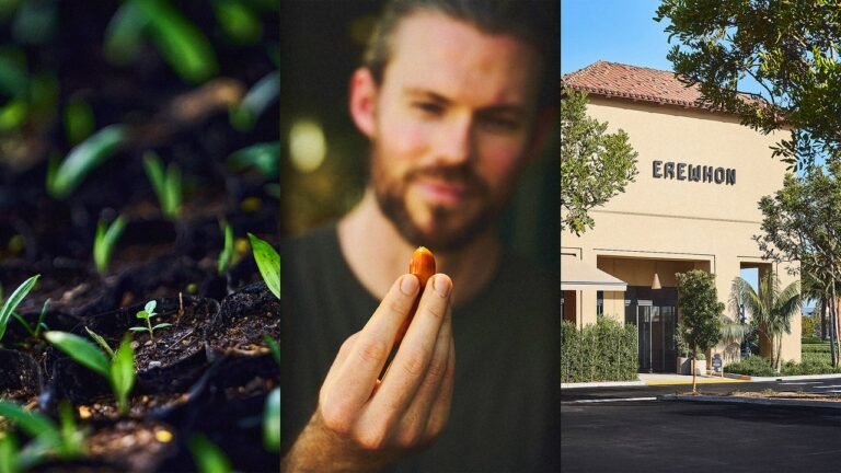 Upscale grocery chain Erewhon will now fry its hot bar foods in this regeneratively farmed oil