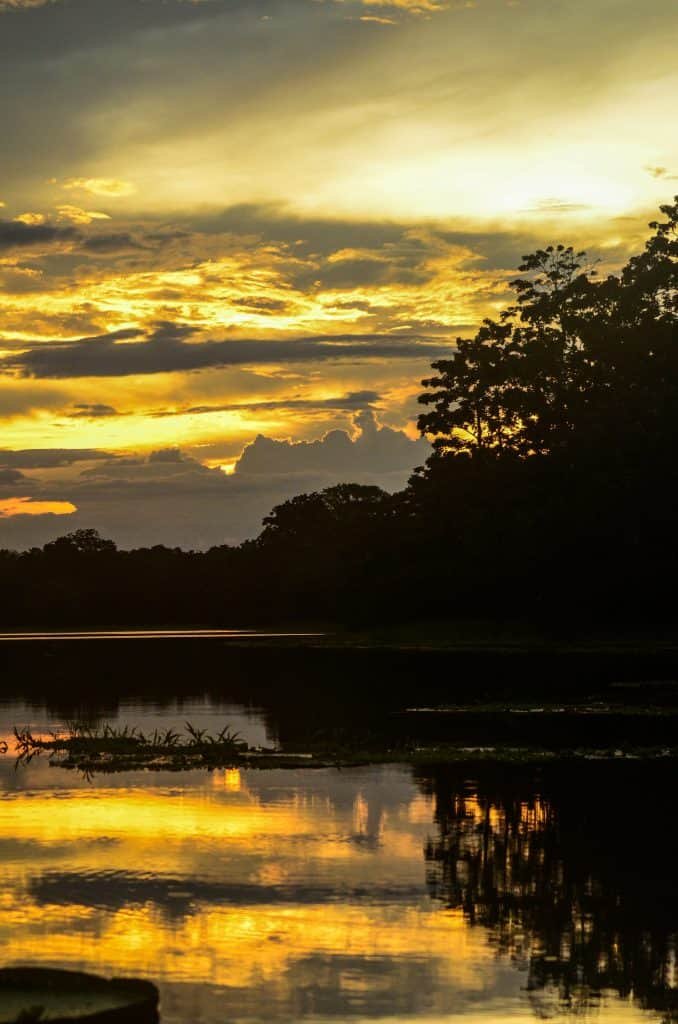 Amazon River Cruises Planning: What to Expect, Where to Go, and How to Pick the Right Boat