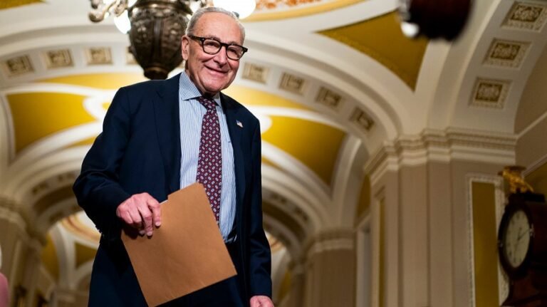 Schumer: ‘We’re on the edge of taking back the Senate’
