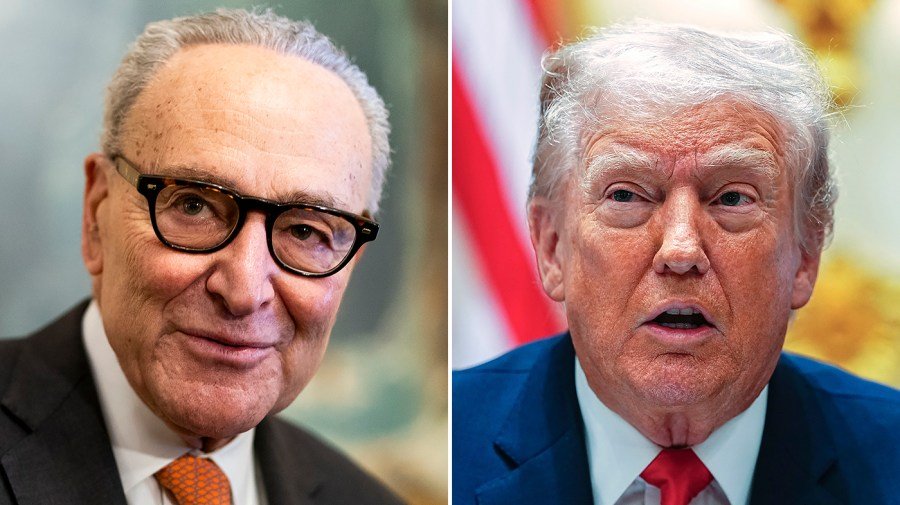 Schumer blasts Trump's 'bigoted bull---' on El-Sayed